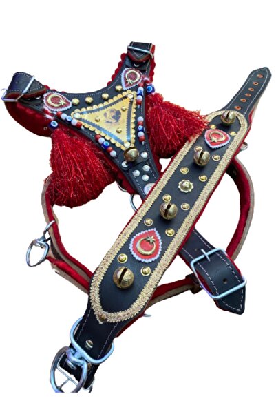 Sürmeli Tasma Gladyatör Kangal Köpek Tasma Seti Hakiki Manda Derisi Göğüslük ...