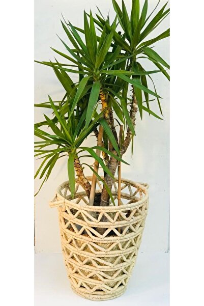 Savana El Yapımı Sanatları Camellia Hasır Hasır Saksı / Sepet 45 X 55