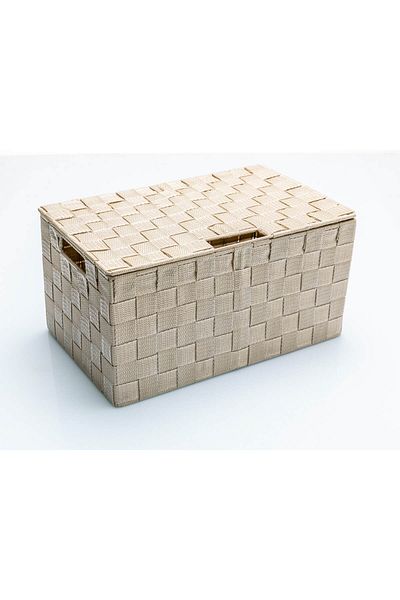 English Home Shine Polypropylene Storage Box with Lid 34X22X17,5 Cm Beige