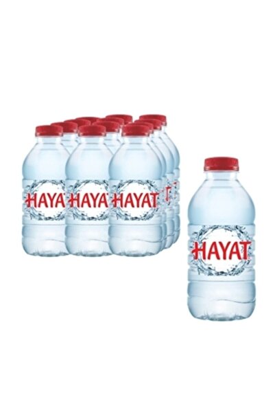 Hayat Su 0.33 Lt X 12li