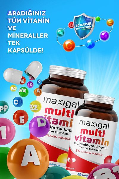Maxigal 30 Capsules Multivitamin and Multimineral Food Supplement - Pack of 2