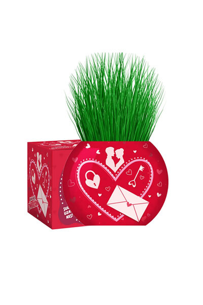 Toyaş Çim Adam Aşk Love 1 Adet Sevgiliye Hediye Konsept Sevgililer Günü Hediy...