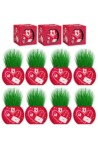 Toyaş عشب رجل الحب الحب 11 قطعة هدية لمفهوم هدية عيد الحب
