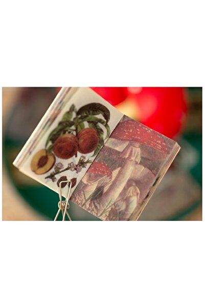 SF SCRAPBOOK KIRTASİYE 50 Yaprak Scrapbook Mantar Yarı Şeffaf Mini Deco Kitap...
