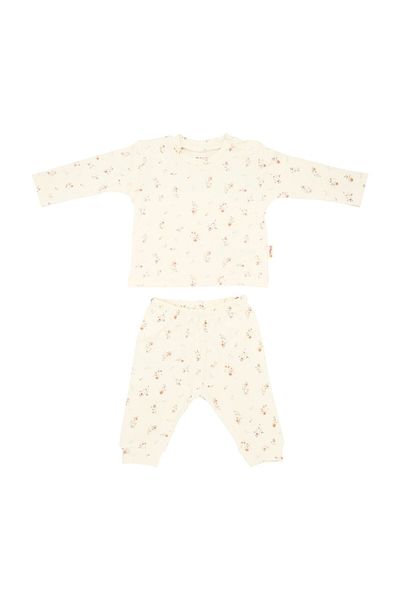 Tiffany Baby Clove Organic Theme 2-Piece Baby Set 22012