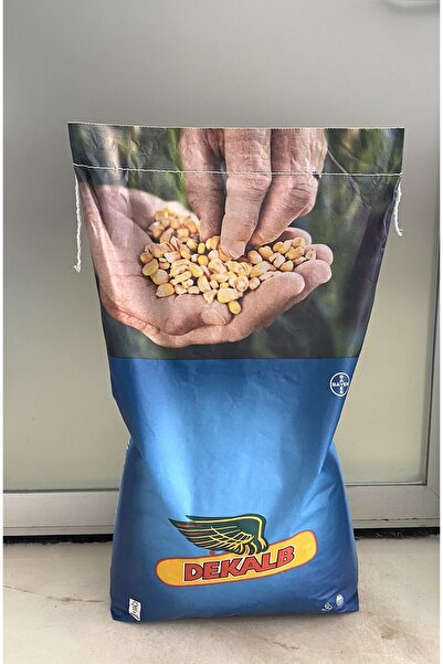 DEKALB Mısır Tohumu Dkc 6980 (GAUCHO)