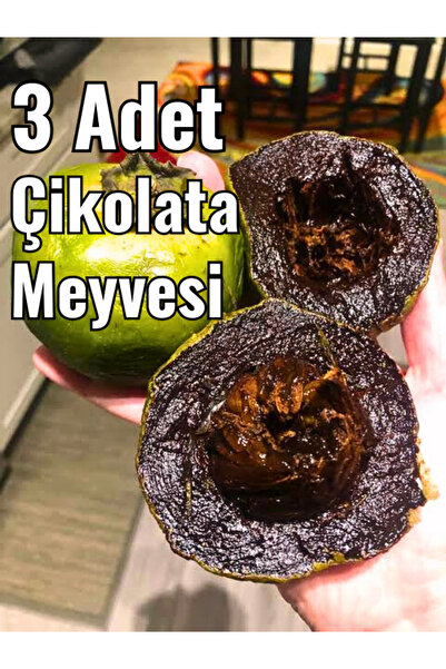 FidanBudur Çikolata Meyvesi, çikolata puding meyvesi, Black Sapote, 3 adet