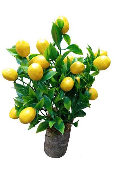 Cennet Home Bunch of Lemons in a Log Pot Desktop Gift Decorative Artificial F...