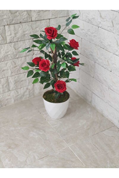 Cennet Home Kırmızı Gül Ağacı Beyaz lüks saksıda doğal görünümlü Çalılı