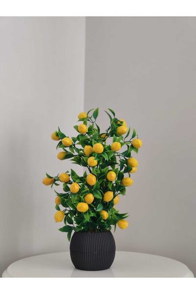 Cennet Home Limon Ağacı Mutfak Süsü 50 Cm Antrasit Saksıda