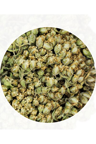 Sarı Çebiş Kekik Çayı 1 Tutam