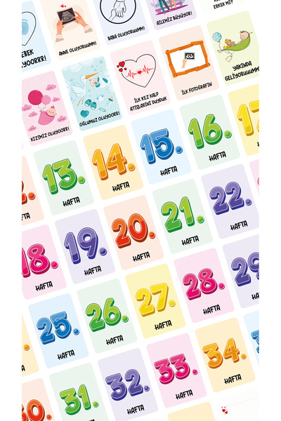 Harikalar Ofisi بطاقات الذاكرة للحوامل 40 قطعة