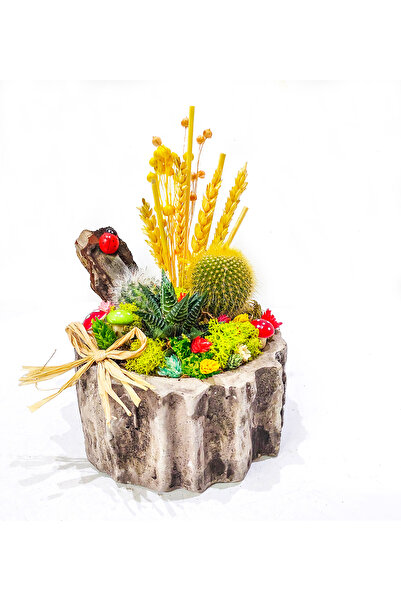 çiçekseli Kaktüs Bahçesi Kütük Beton Saksıda & Kuru Çiçek Süslemeli canli cic...