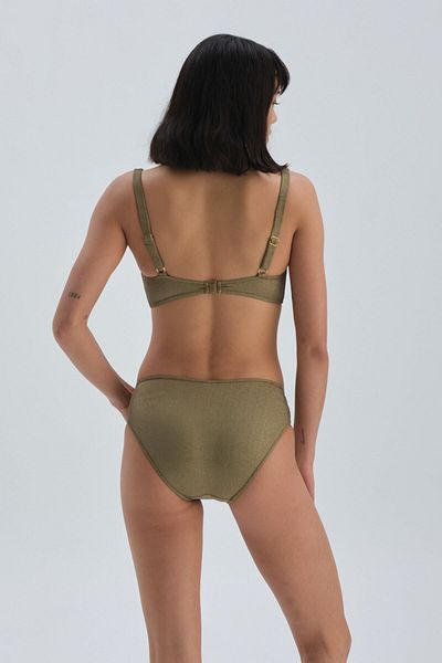 Dagi Grüne, bedeckte Bikinihose mit hoher Taille