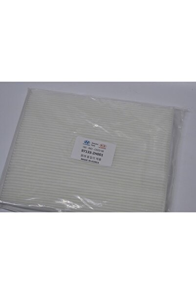 OEM Icon Group - Hyundai - Kia Ceed - I30 2012--> Polen Filtresi - 971332h001