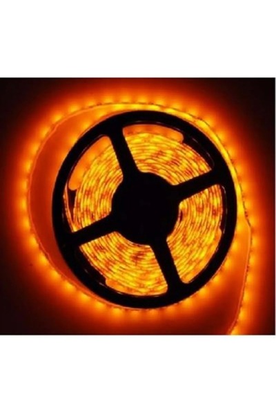 İnformed 3 Çipli şerit led iç mekan 5 metre *ÜRÜN TRAFOSUZ ÇALIŞMAZ*