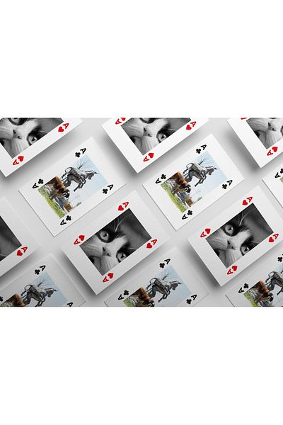 Haytap Card Paper
