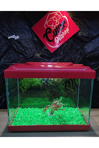 Çınarpetshop Özel Tasarım Şık Dekorlu Akvaryum