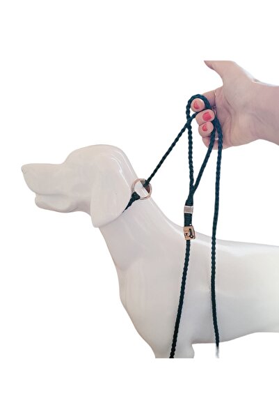 VSLT HANDMADE Köpek Yarışma Tasması, Show Tasması,boğma Tasma,dog Show Leash,dog Training Collar