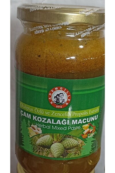kademgiller Çam Kozalağı Macunu 420gr