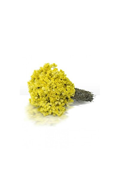 NATURELDOGA Altın Otu (altınbaşak, Sarı Çiçek, Ölmez Çiçek ) Demet Yeni Mahsül