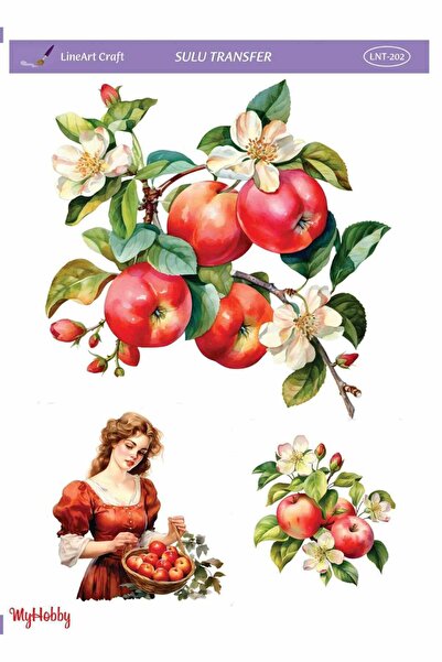 LİNEART LNT202 موديل 25x35 سم نقل مائي خطي