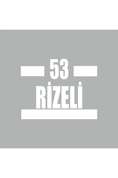 Reysa Tasarım 53 ملصق سيارة ريزيلي 16x9 سم رمادي