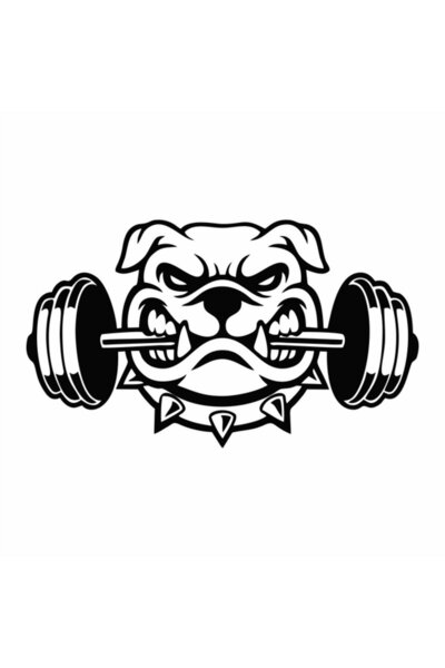 Reysa Tasarım ملصق سيارة بولدوج 19x11 سم أزرق