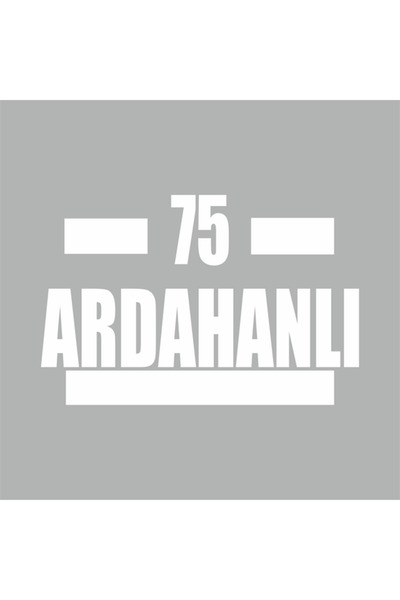 Reysa Tasarım 08 ملصق سيارة Artvinli مقاس 16x9 سم رمادي