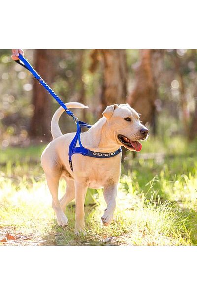 Ezydog Quick Fit Harness - Blue
