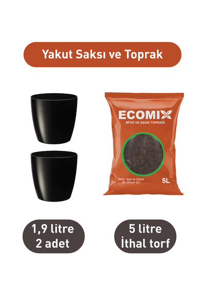 SERİNOVA Yakut 2 Adet Siyah 1.9 Litre Saksı ve 5 Litre İthal Torf (Perlit Kat...