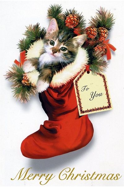 Marcel Kristal Tablo Kitten in Christmas Boots Diamond Mosaic Painting 30X46 cm