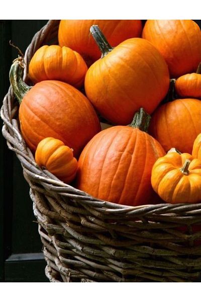 Marcel Kristal Tablo Pumpkins in the Basket Marcel Art Diamond Mosaic Painting 38x51cm