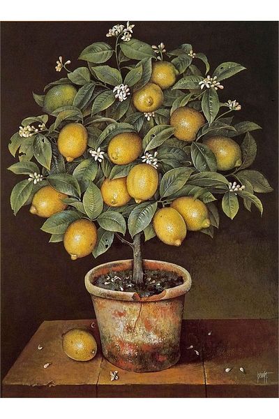MARCEL SANAT Lemon Tree Diamond Mosaic Painting in Soil Pot 37X50Cm
