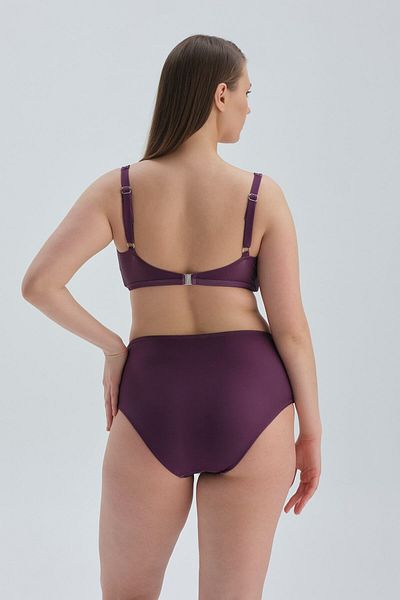 Dagi Burgundy Maximum Recovery High Waist Bikini Bottom