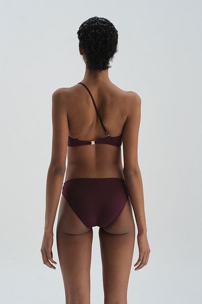 Dagi Weinrotes Bikini-Unterteil mit normaler Taille