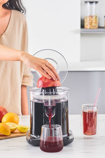 HOMEND Vitamillion 2604h Citrus Juicer