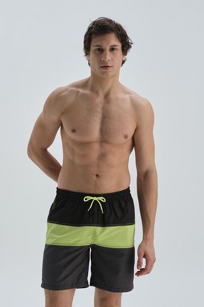 Dagi Pantaloni scurți de baie cu model de cali de mare, albastru bleumarin, verde