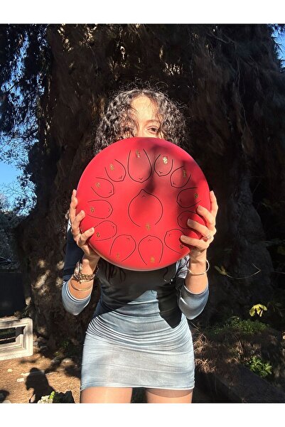 miniarpturkiye 12 inç 13 Notalı Mega Boy Pro Handpan A Kalite Çelikten Yapılmıştır (2 YIL GARANTİLİDİR)