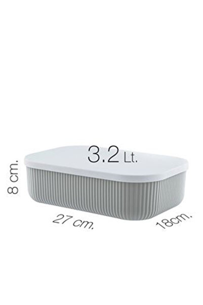 Bayev 6 Piece Gray Set 2 Pieces 6.2 Lt 4 Pieces 3.2 Lt Storage Cabinet Organizer with Lid Sock Belt Box