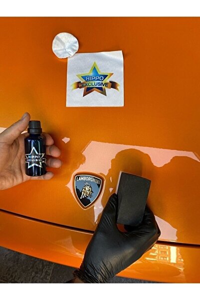 NEW MOTİON Nano Seramik Kaplama Seti 50 Ml Oto Seramik Boya Koruma Ve Parlatıcı