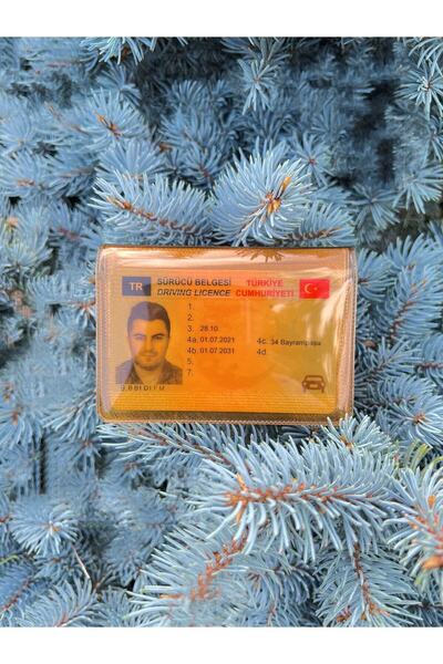 Gempo Transparent Waterproof Minimalist New Generation Card Holder