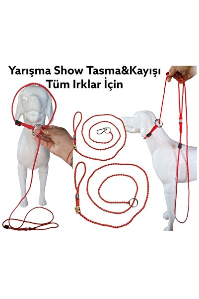 VSLT HANDMADE Köpek Yarışma Tasması, Show Tasması,boğma Tasma,dog Show Leash,dog Training Collar