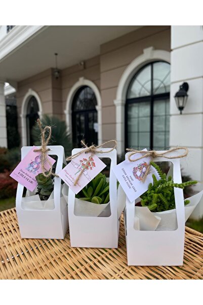 FİDAN PAZARI 8 MART KADINLAR GÜNÜ ÖZEL ÇANTALI MİX PAKET 20 ADET(BEYAZ RENK)