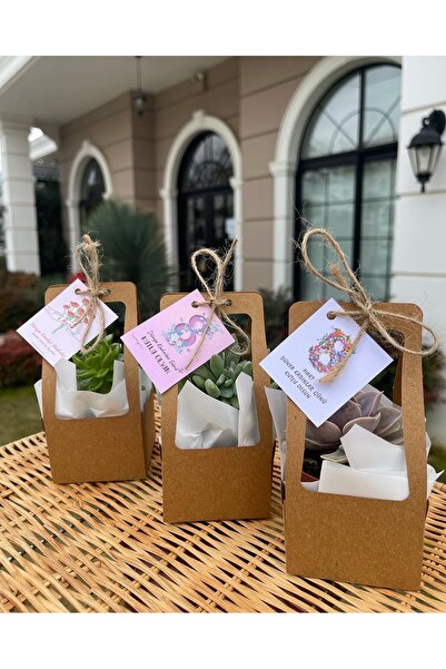 FİDAN PAZARI 8 MART KADINLAR GÜNÜ ÖZEL ÇANTALI MİX PAKET 20 ADET(KRAFT RENK)
