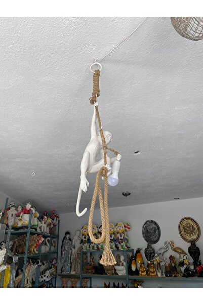 zibaka Tavandan Sallanan Maymun Lamba