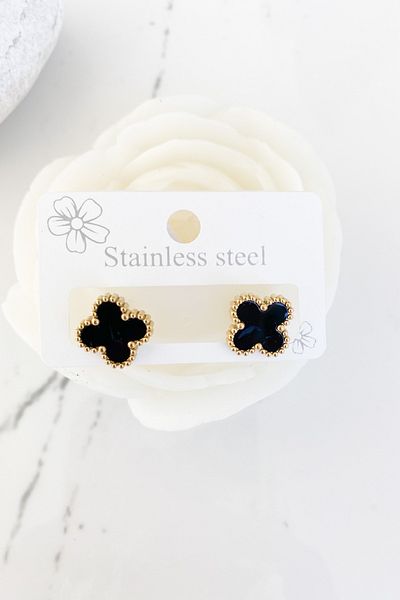 Pretty Steel Earrings