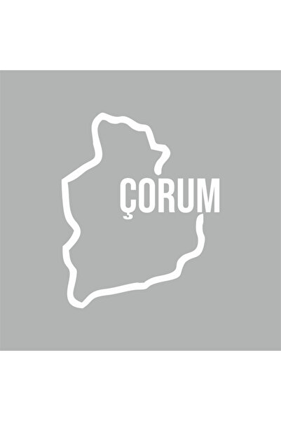 Reysa Tasarım ملصق سيارة لخريطة كوروم مقاس 14 × 18 سم باللون الأبيض