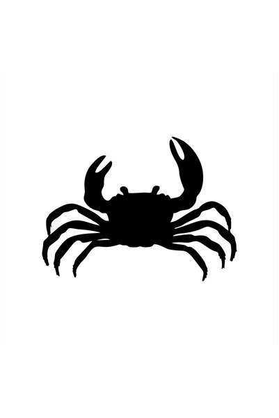 Reysa Tasarım ملصق سيارة كراب 16x12 سم أسود