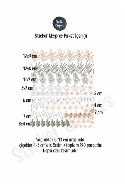 Sticker Ekspres Boho Çayır Çiçekleri Ve Yapraklar Duvar Sticker Seti